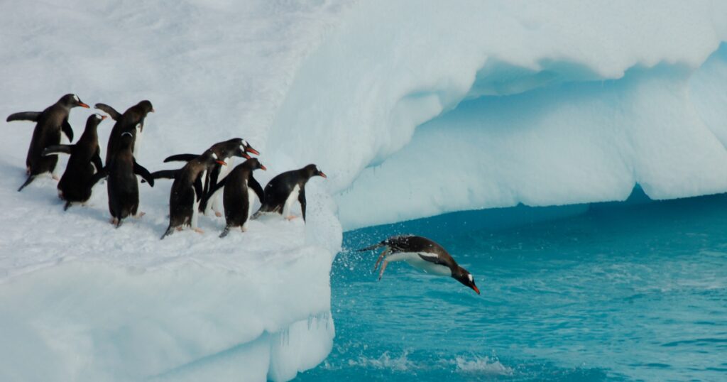 Deep Dive into Consulting Part 4 Finance & Accounting Advisory