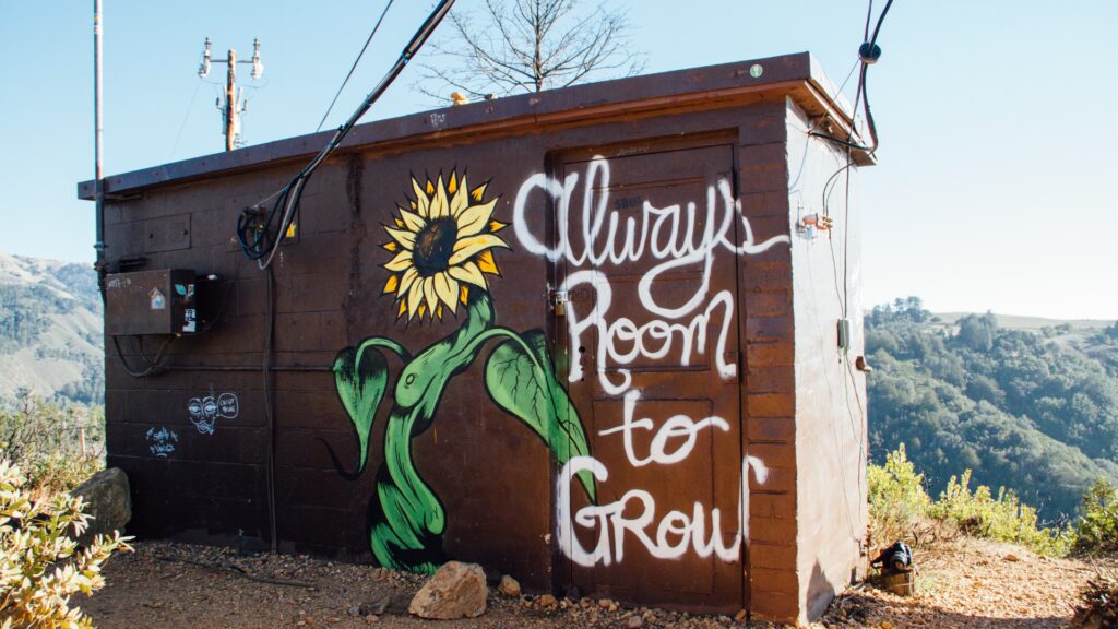 Self-Reflection Learning and Growth