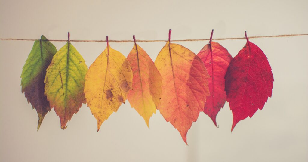 Change: Go, slow, go, slow.