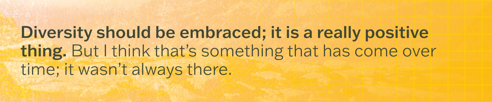 Susie Horgan Springboard Communications