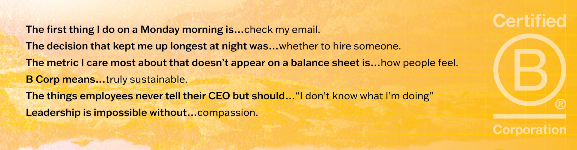 Susie Horgan Springboard Communications